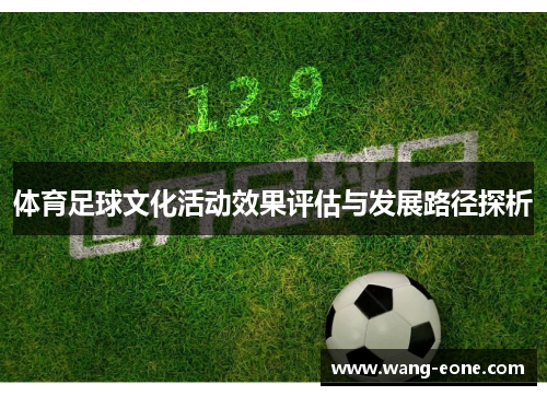 体育足球文化活动效果评估与发展路径探析