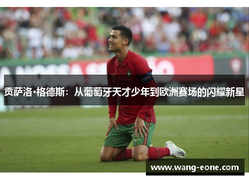 贡萨洛·格德斯：从葡萄牙天才少年到欧洲赛场的闪耀新星