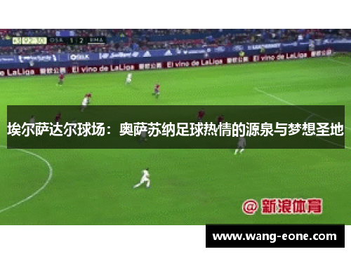 埃尔萨达尔球场：奥萨苏纳足球热情的源泉与梦想圣地