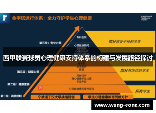 西甲联赛球员心理健康支持体系的构建与发展路径探讨
