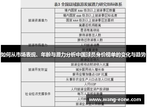 如何从市场表现、年龄与潜力分析中国球员身价榜单的变化与趋势