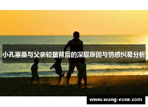 小孔塞桑与父亲较量背后的深层原因与情感纠葛分析